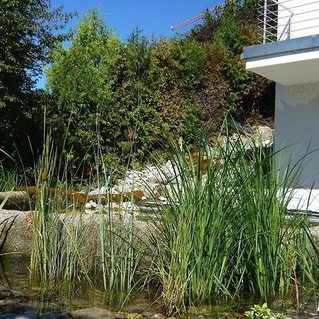شقة N1 Standalone House Baden Hertenstein المظهر الخارجي الصورة