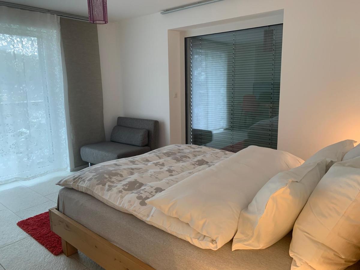 شقة N1 Standalone House Baden Hertenstein المظهر الخارجي الصورة