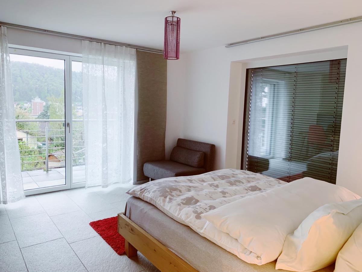 شقة N1 Standalone House Baden Hertenstein المظهر الخارجي الصورة