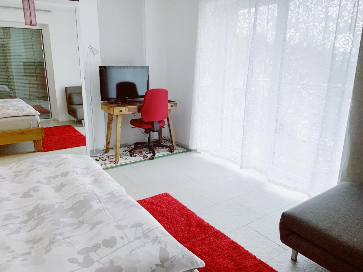 شقة N1 Standalone House Baden Hertenstein المظهر الخارجي الصورة
