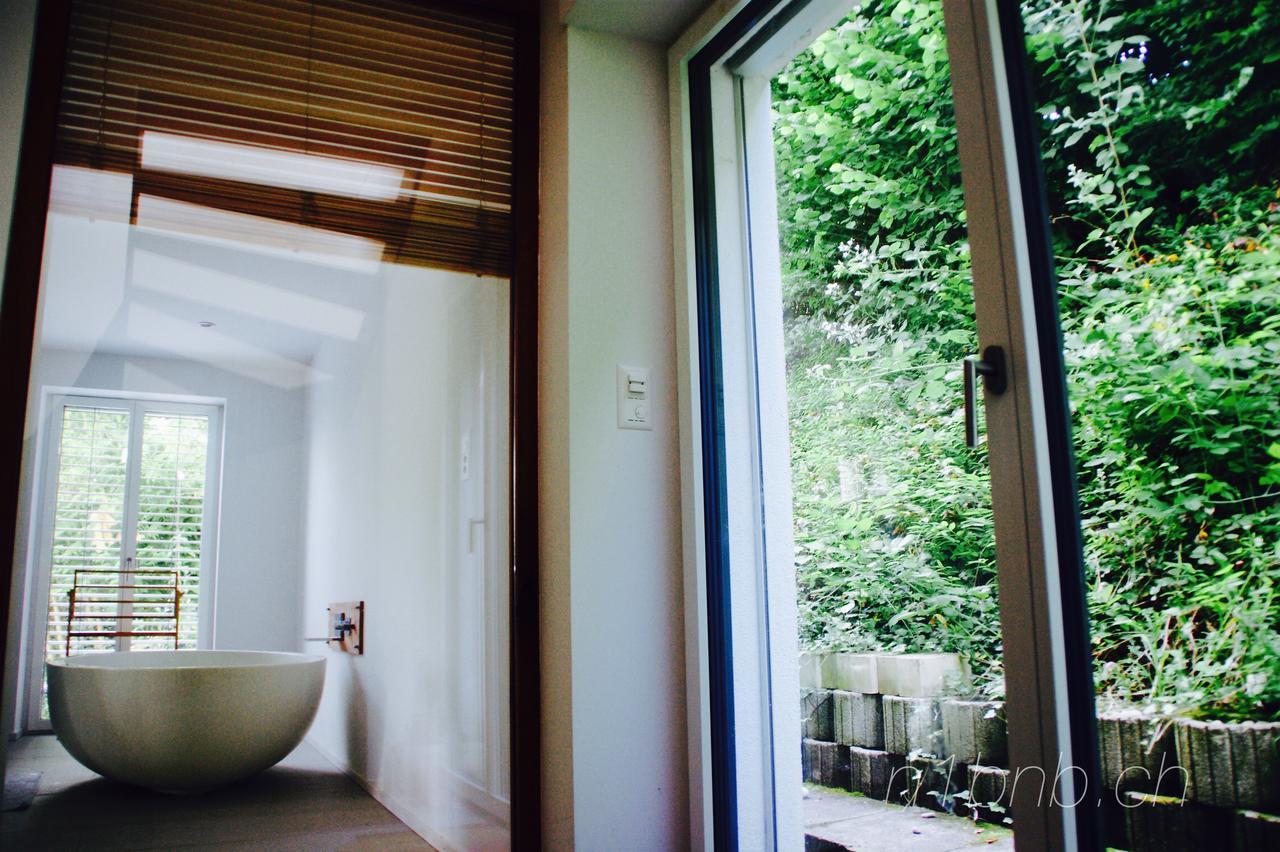 شقة N1 Standalone House Baden Hertenstein المظهر الخارجي الصورة